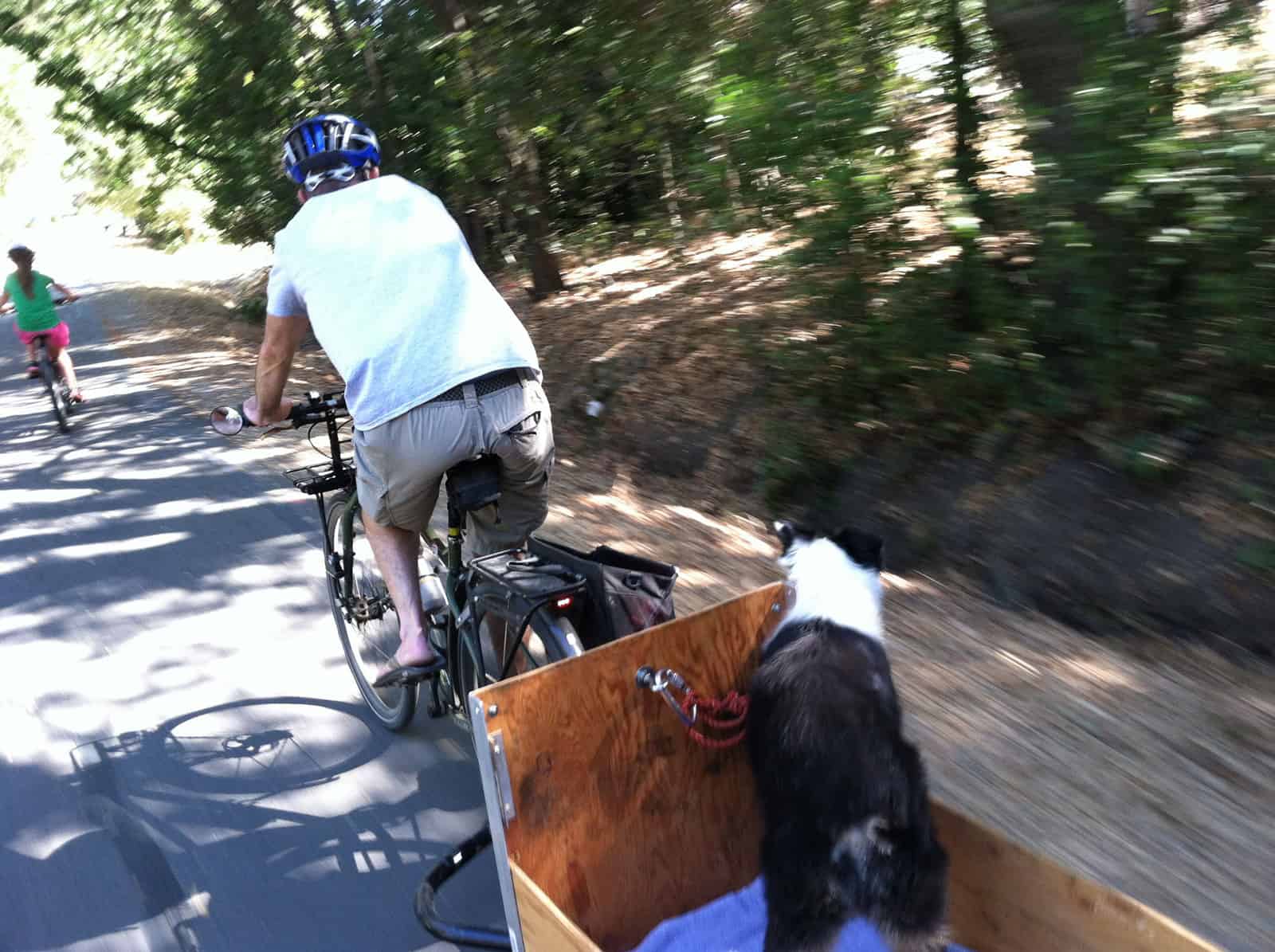 Going to the vet on the Lafayette Moraga Trail